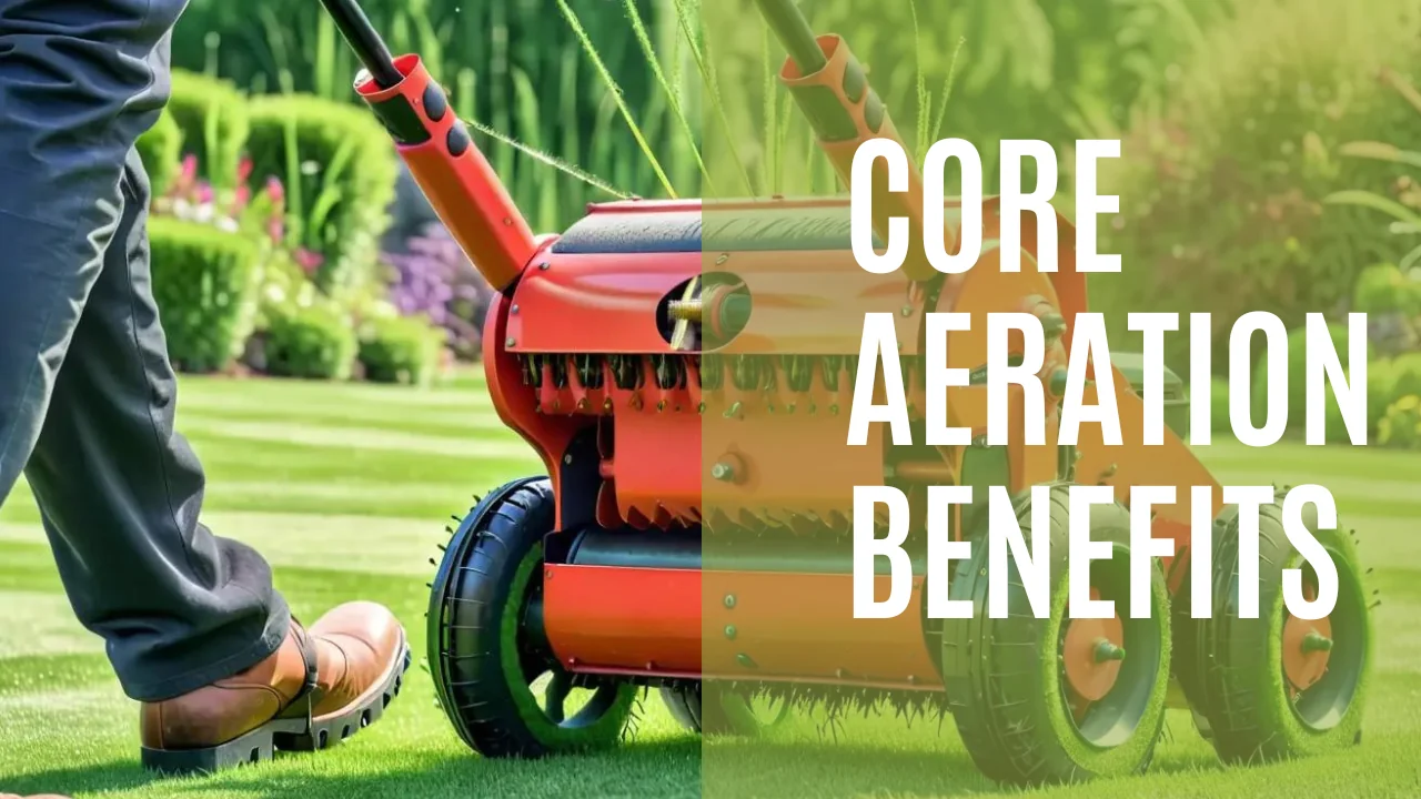 Core Aeration The Benefits
