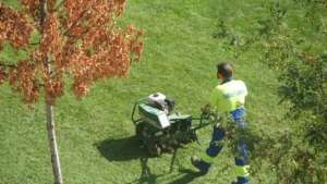 10 Clear Signs It’s Time to Aerate and Seed Your Lawn in Calgary